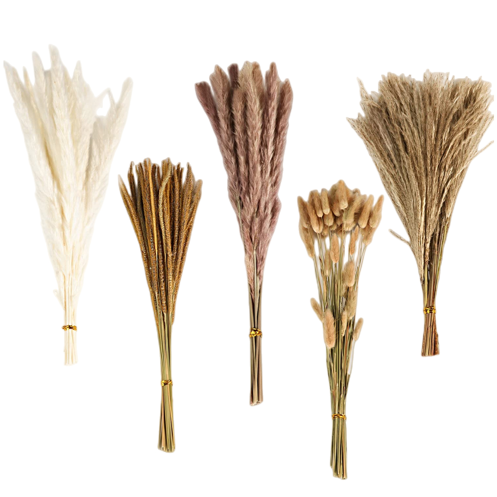 Pampas Grass Decor - 가을 빈티지 믹스 드라이플라워 부케, 팜파스그래스,