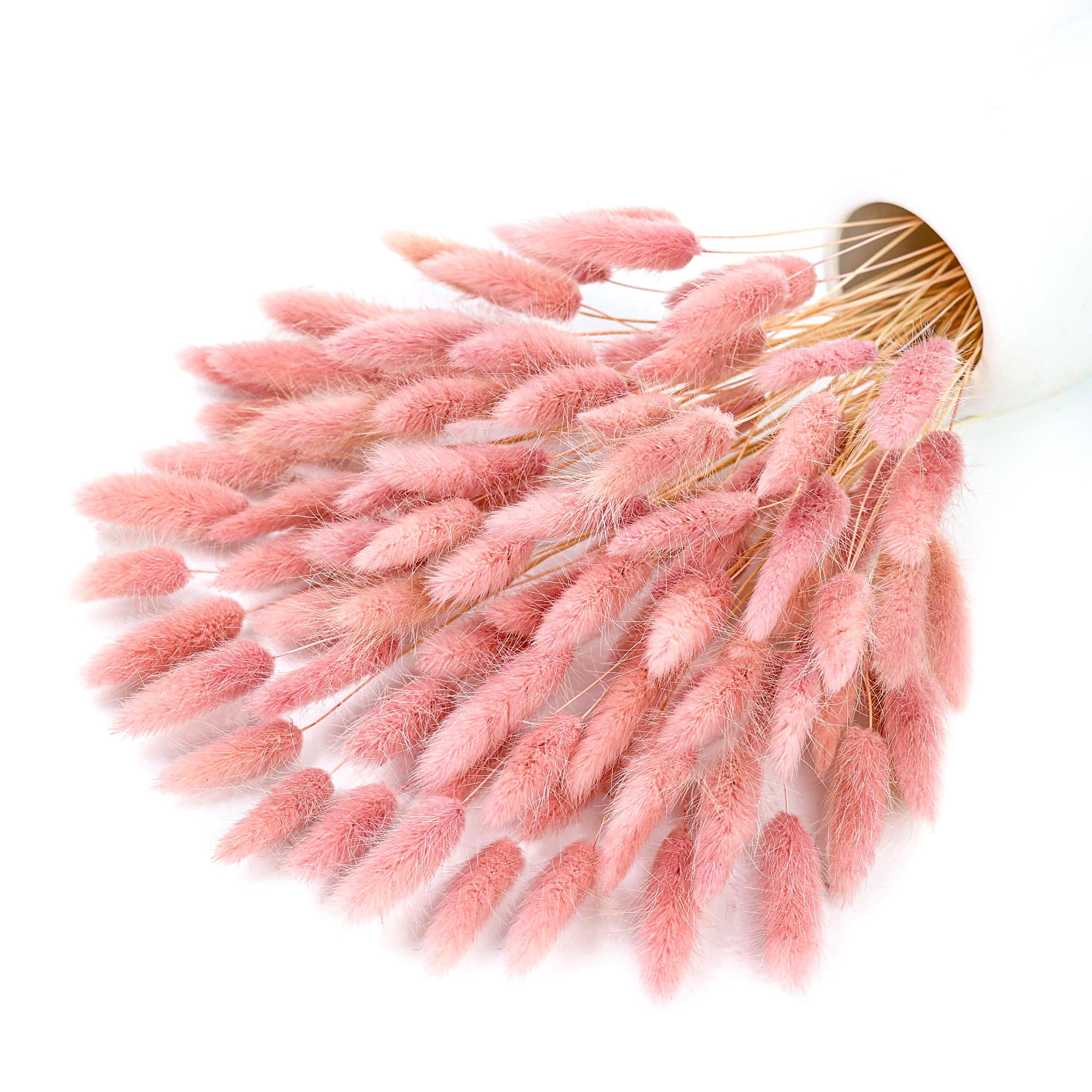 Pampas Grass Decor - 120개의 핑크색 건조 팜파스 헤어풀 장식용