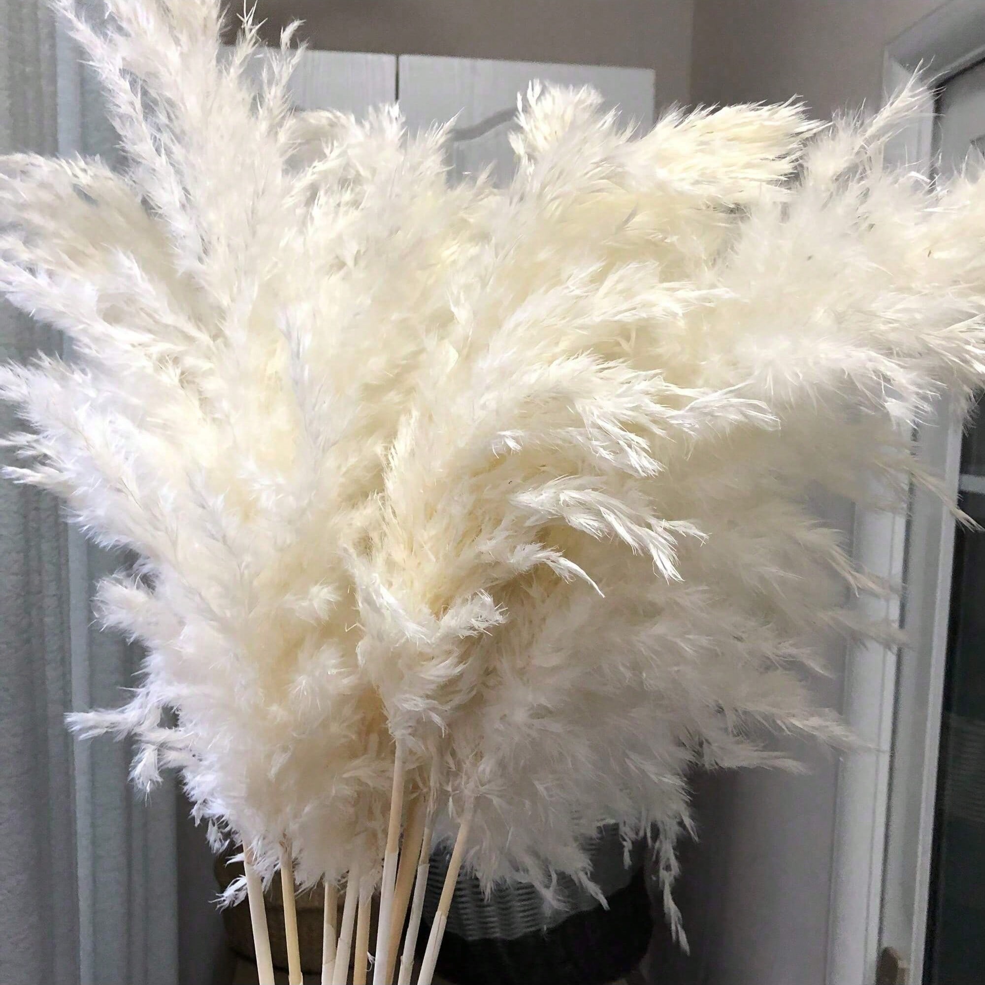 Pampas Grass Decor - 10/20/30개 흰색 인조 팜파스 그래스 장식