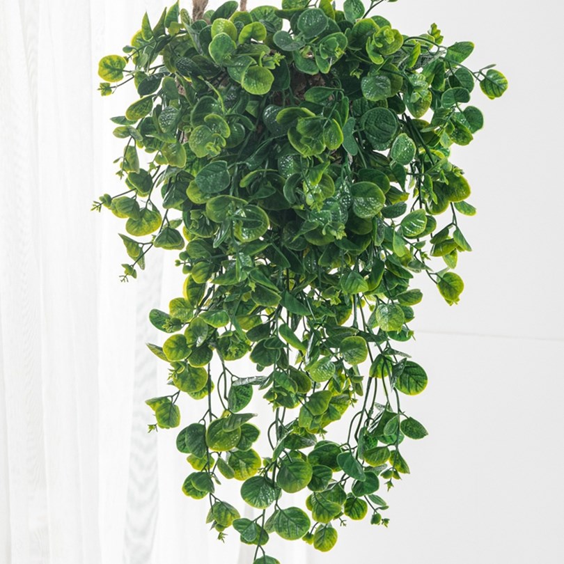 유칼립투스 고사리 등나무 인조 플라스틱 식물 홈 벽걸이 - Artificial Hanging Plants 리뷰 및 가격