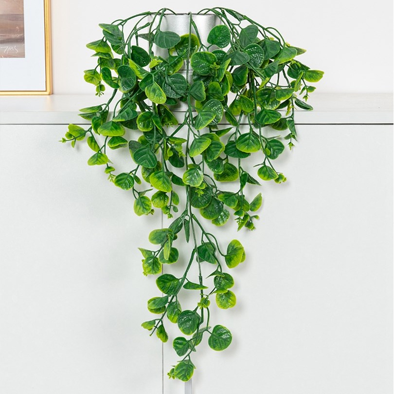 유칼립투스 고사리 등나무 인조 플라스틱 식물 홈 벽걸이 - Artificial Hanging Plants 리뷰 및 가격