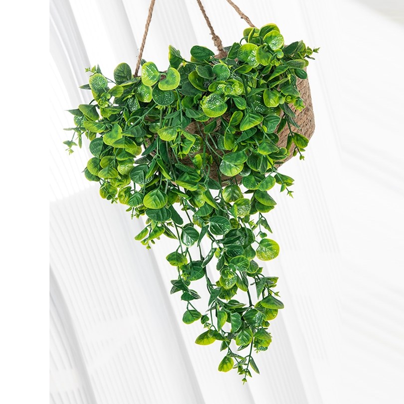 유칼립투스 고사리 등나무 인조 플라스틱 식물 홈 벽걸이 - Artificial Hanging Plants 리뷰 및 가격