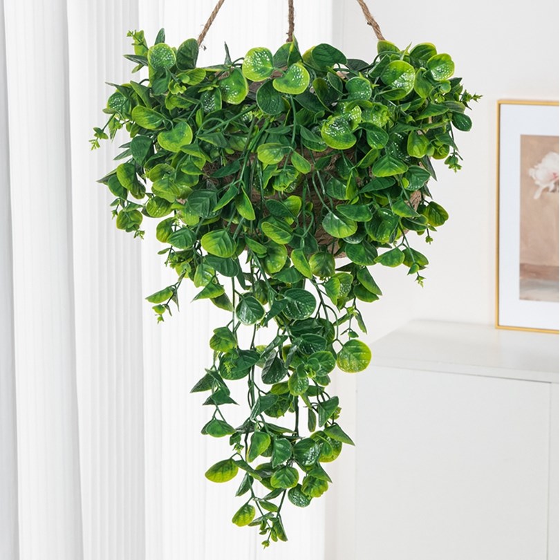 유칼립투스 고사리 등나무 인조 플라스틱 식물 홈 벽걸이 - Artificial Hanging Plants 리뷰 및 가격