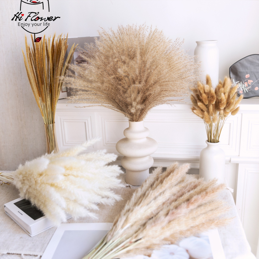 자연 건조 팜파스 그래스 부케 버니테일 리드 보헤미안  - Pampas Grass Decor 리뷰 및 가격