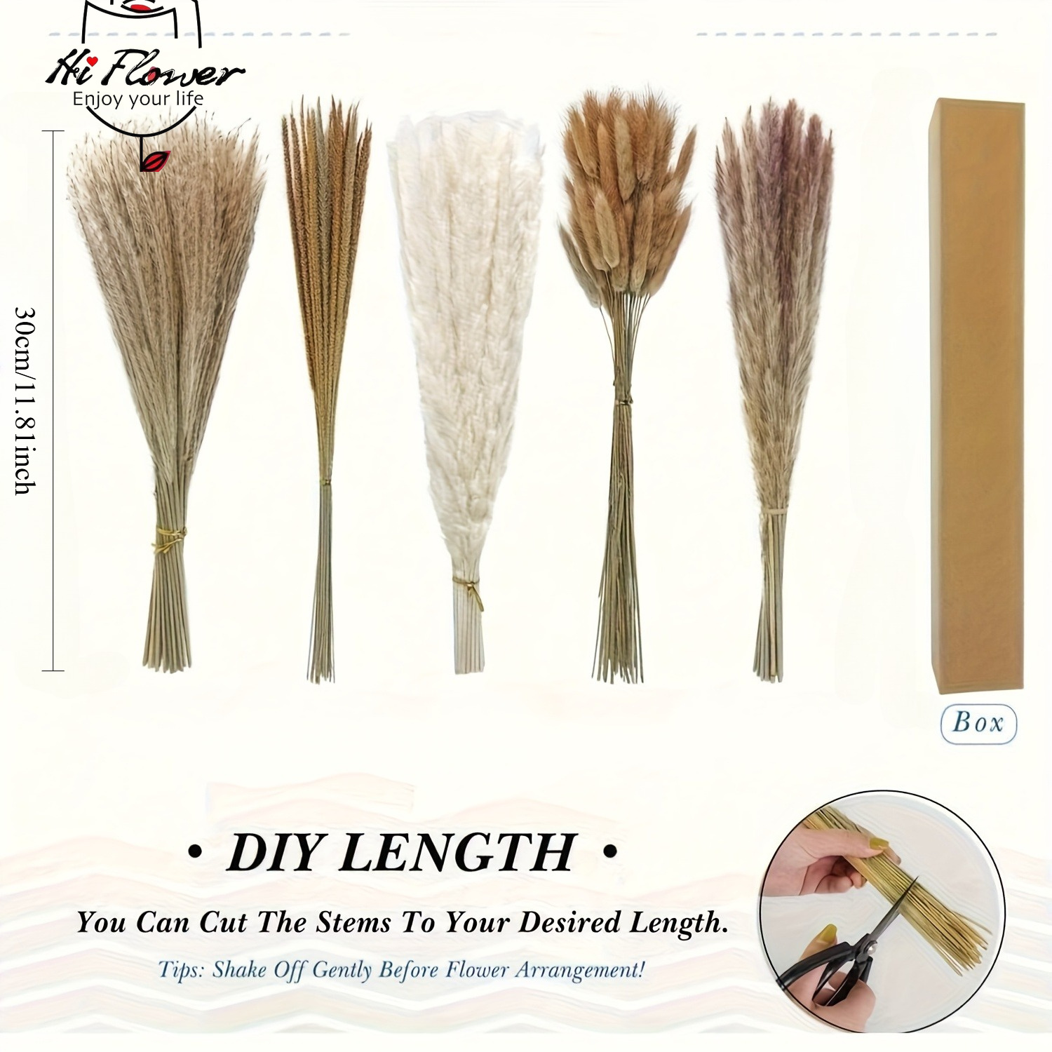 자연 건조 팜파스 그래스 부케 버니테일 리드 보헤미안  - Pampas Grass Decor 리뷰 및 가격