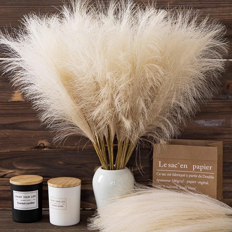 5개/세트 인조 꽃 팜파스 그래스 장식 인조 갈대 드라 - Pampas Grass Decor 리뷰 및 가격