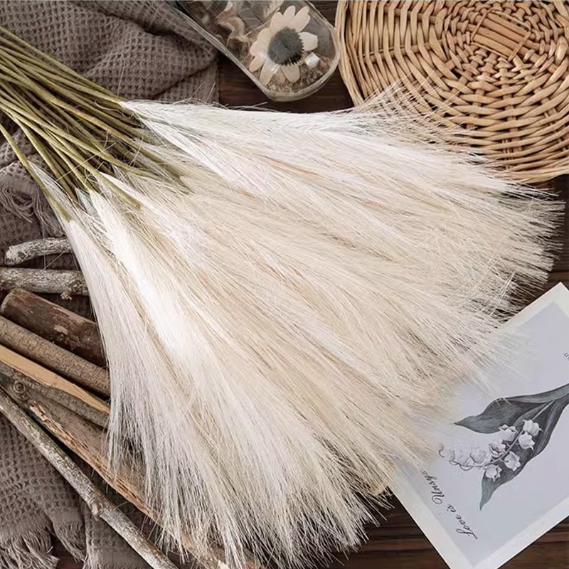 5개/세트 인조 꽃 팜파스 그래스 장식 인조 갈대 드라 - Pampas Grass Decor 리뷰 및 가격
