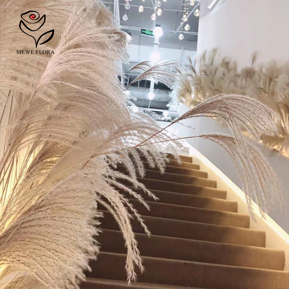 200PCS 자연 건조 푹신한 갈대 꽃 꽃다발 상점 창 - Pampas Grass Decor 리뷰 및 가격