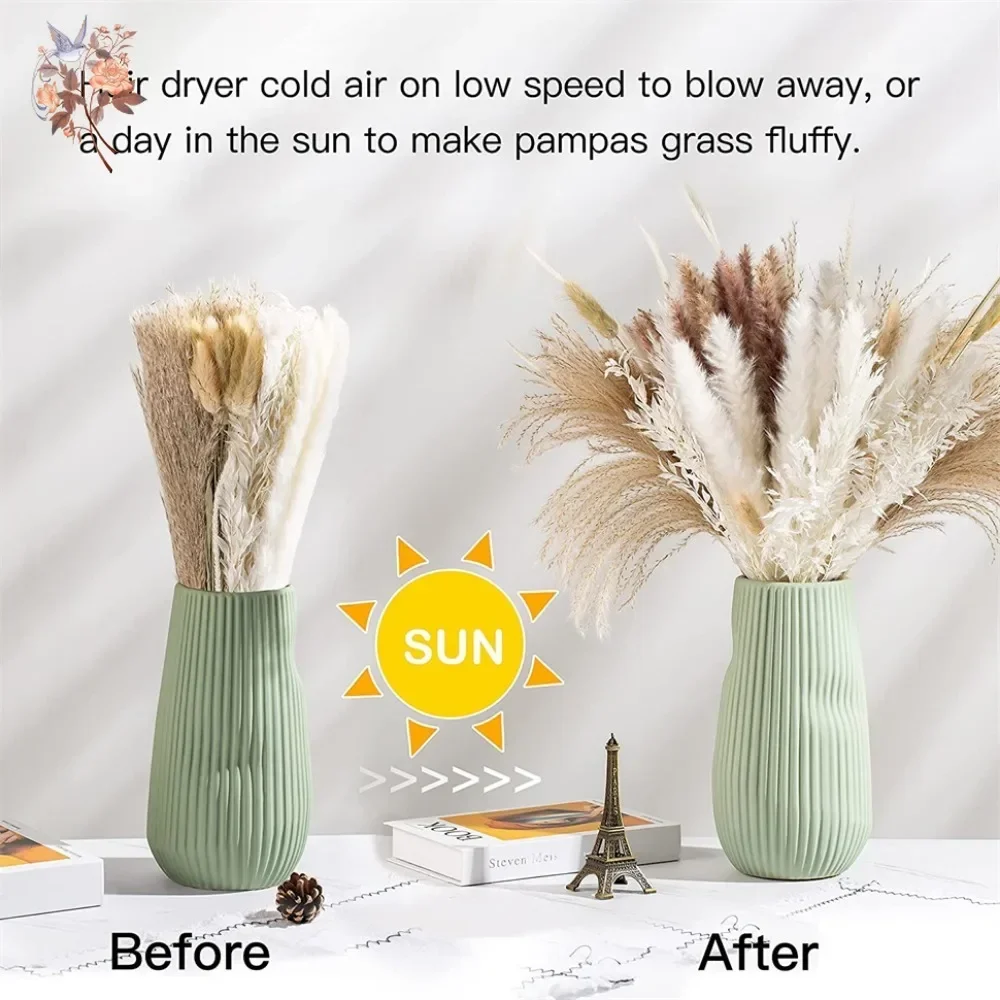 88개의 자연스러운 솜털 듯한 건조 팜파스그래스 장식  - Pampas Grass Decor 리뷰 및 가격