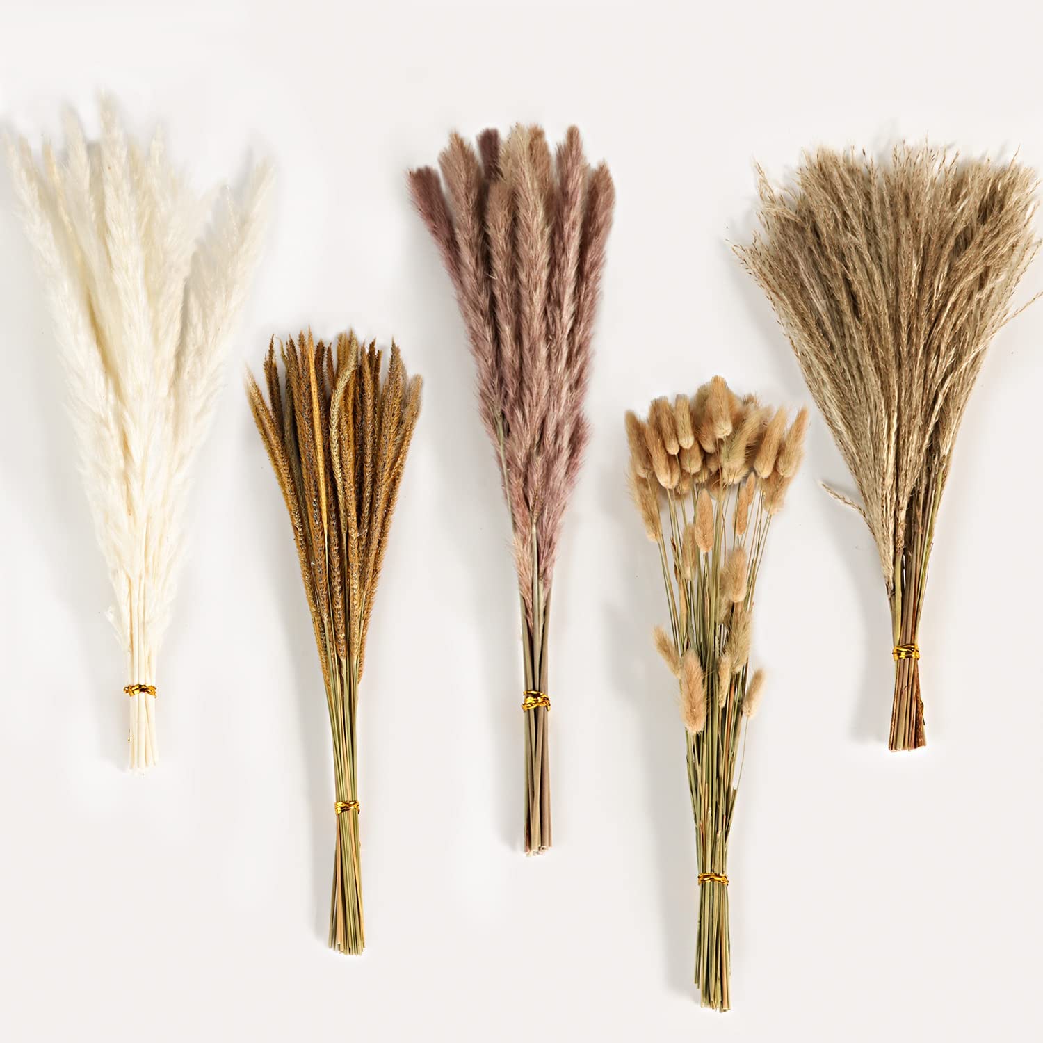 가을 빈티지 믹스 드라이플라워 부케, 팜파스그래스, 버 - Pampas Grass Decor 리뷰 및 가격