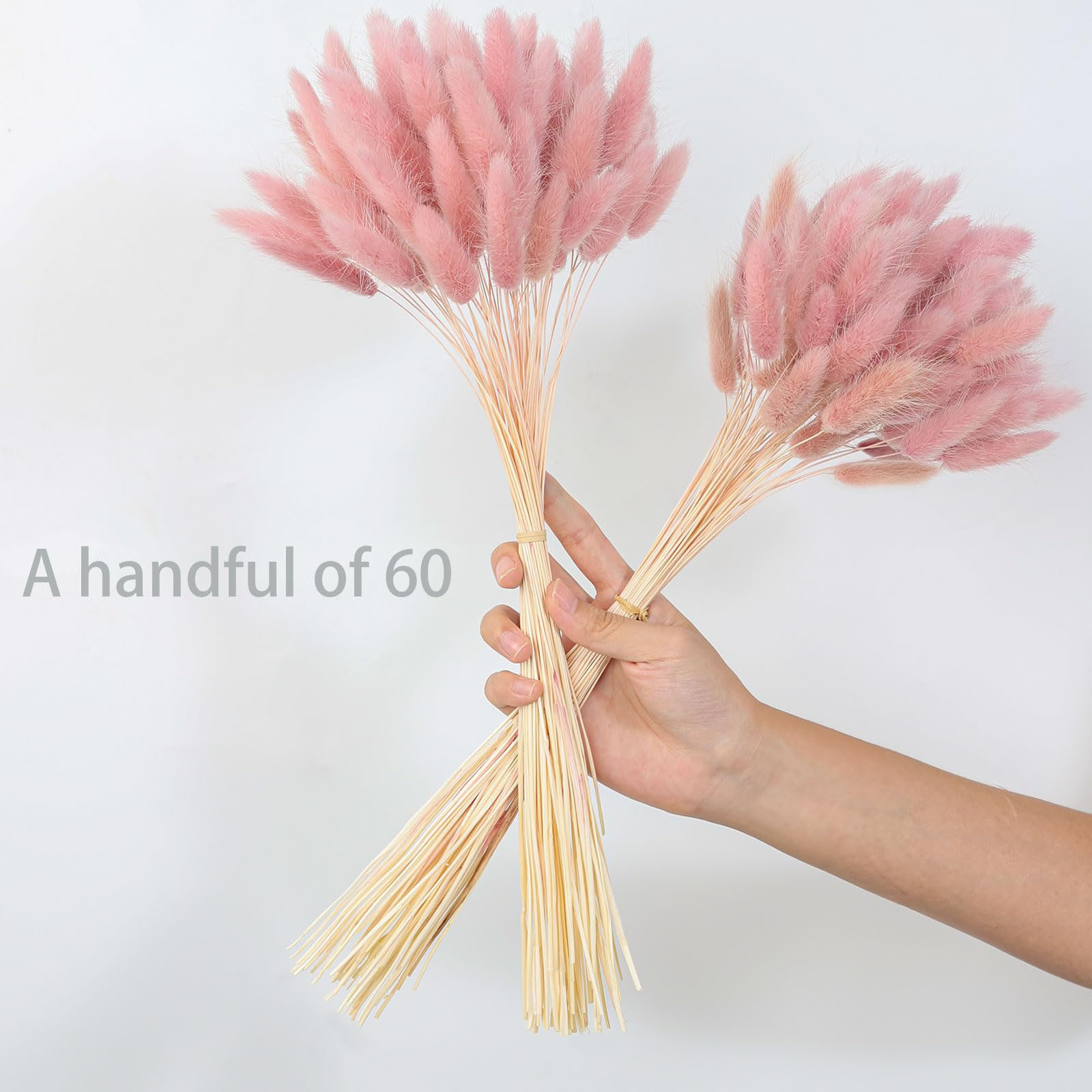 120개의 핑크색 건조 팜파스 헤어풀 장식용 꽃, 보헤 - Pampas Grass Decor 리뷰 및 가격