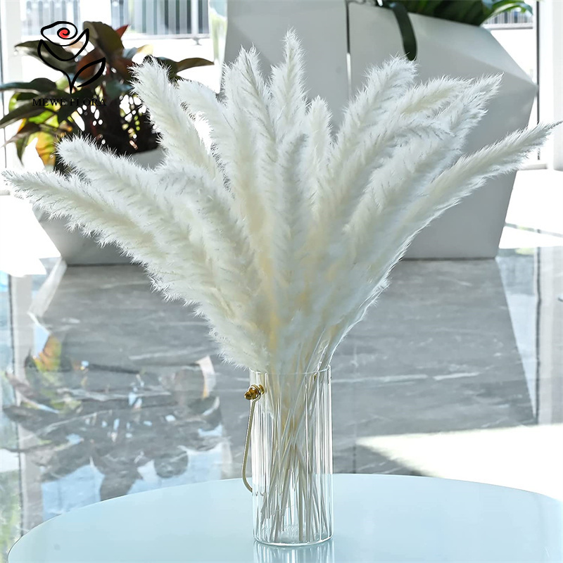18개의 줄기로 된 자연 건조 꽃, 풍성한 팜파스 그래 - Pampas Grass Decor 리뷰 및 가격