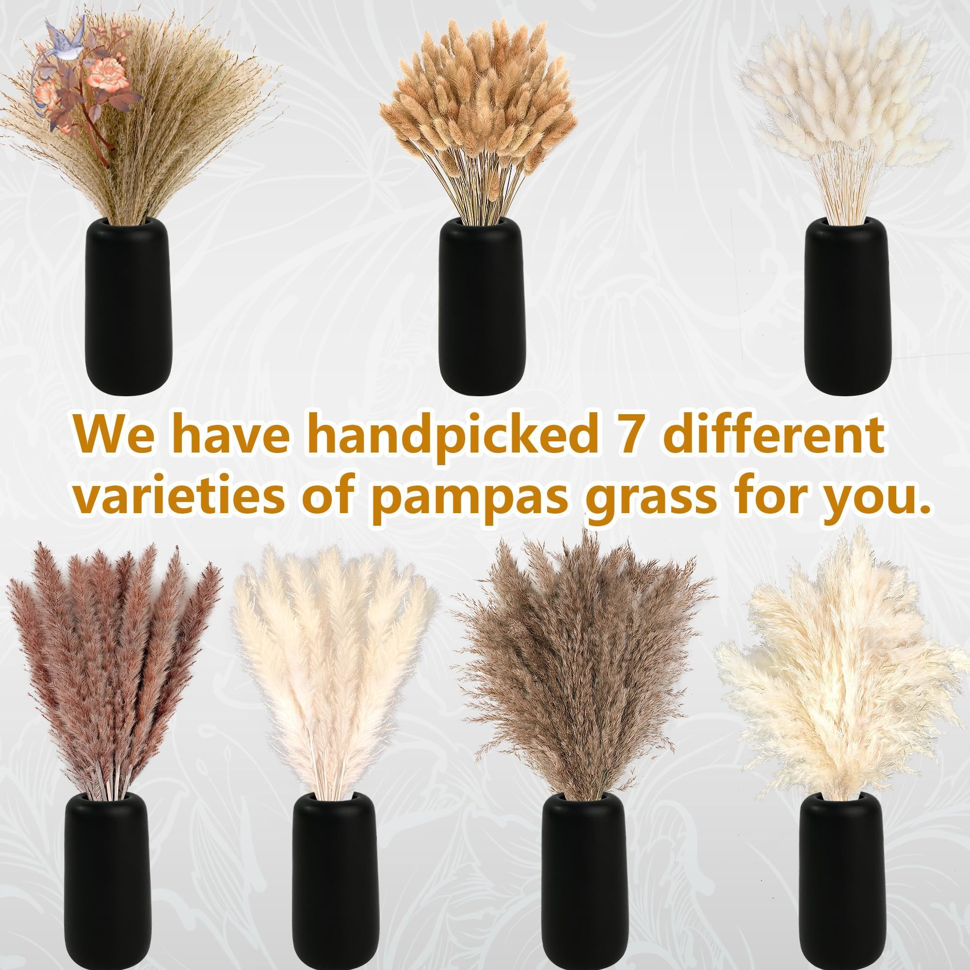 300개 천연 대형 팜파스 그래스 드라이 플라워 부케  - Pampas Grass Decor 리뷰 및 가격