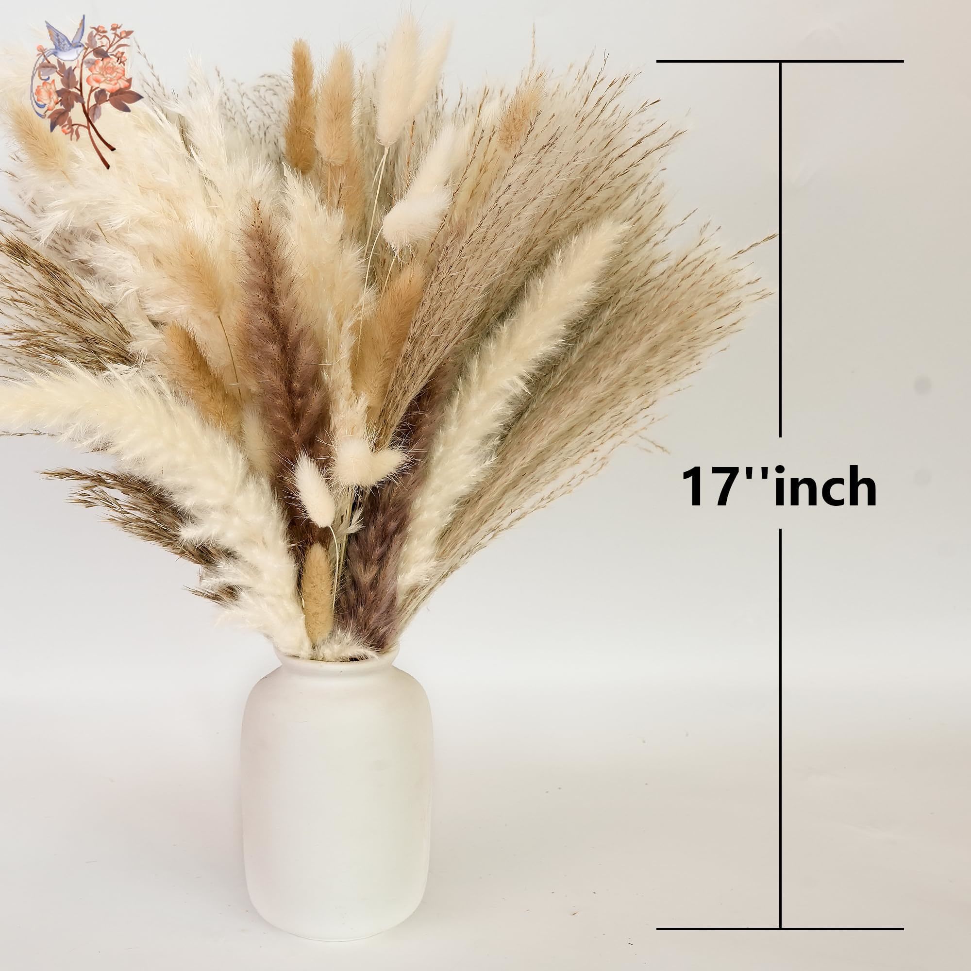 300개 천연 대형 팜파스 그래스 드라이 플라워 부케  - Pampas Grass Decor 리뷰 및 가격