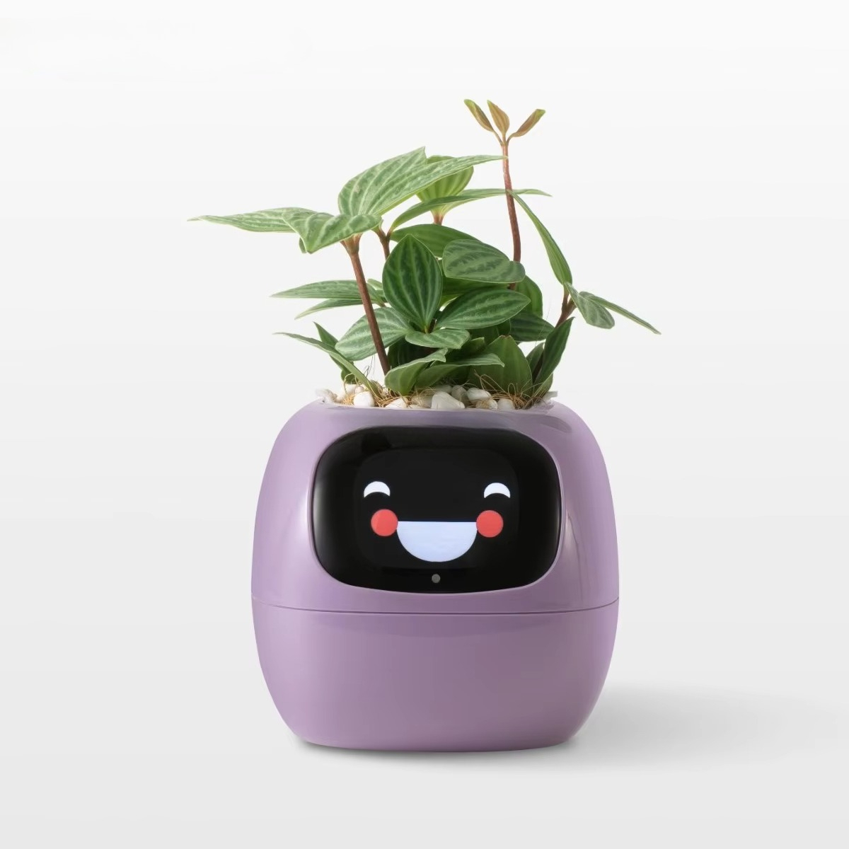 YY 와이파이 AI 화분 급수 알림 기능 (49가지 이 - Home Decor Ai Free 리뷰 및 가격
