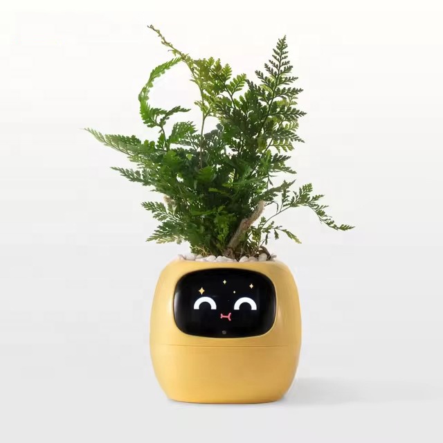 YY 와이파이 AI 화분 급수 알림 기능 (49가지 이 - Home Decor Ai Free 리뷰 및 가격