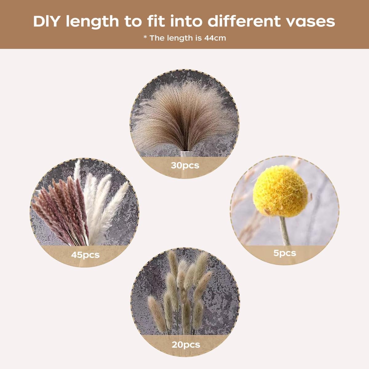 말린 팜파스 그래스 꽃다발, 천연 드라이 플라워, 고급 - Pampas Grass Decor 리뷰 및 가격