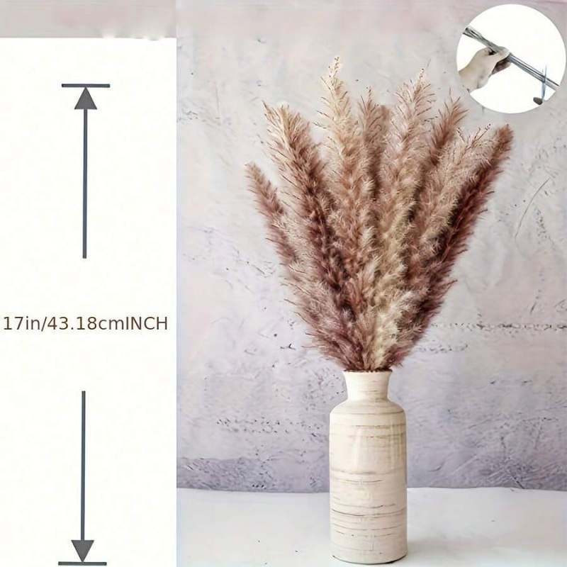 110개 건조 팜파스 그래스 꽃다발 - 갈색 & 흰색, - Pampas Grass Decor 리뷰 및 가격