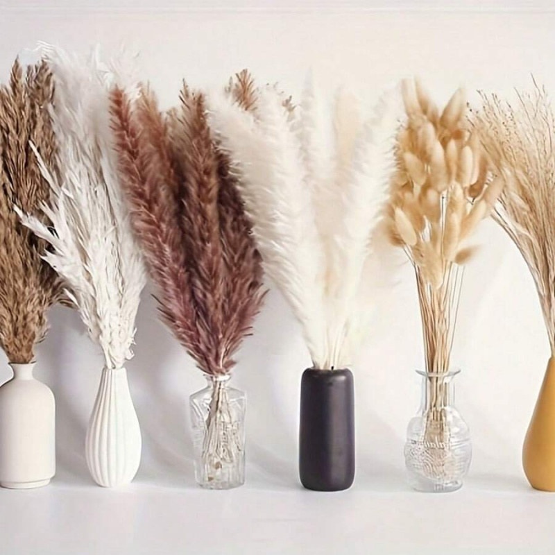 110개 건조 팜파스 그래스 꽃다발 - 갈색 & 흰색, - Pampas Grass Decor 리뷰 및 가격