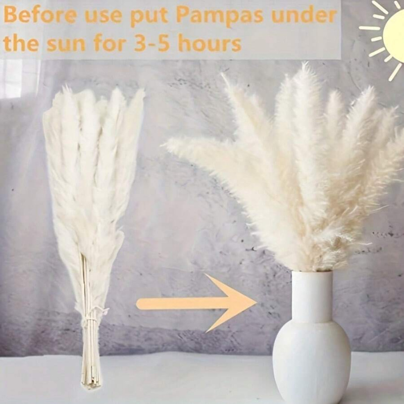 110개 건조 팜파스 그래스 꽃다발 - 갈색 & 흰색, - Pampas Grass Decor 리뷰 및 가격