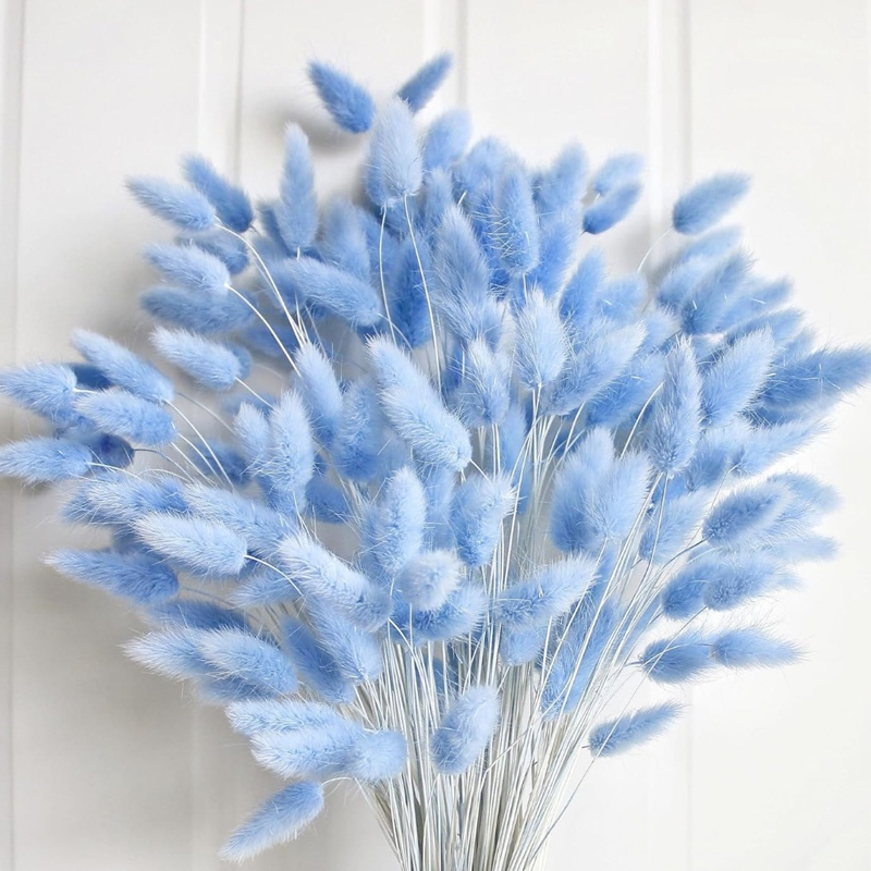 100PCS 블루 토끼 꼬리 잔디 토끼 꼬리 홈 룸 생 - Pampas Grass Decor 리뷰 및 가격
