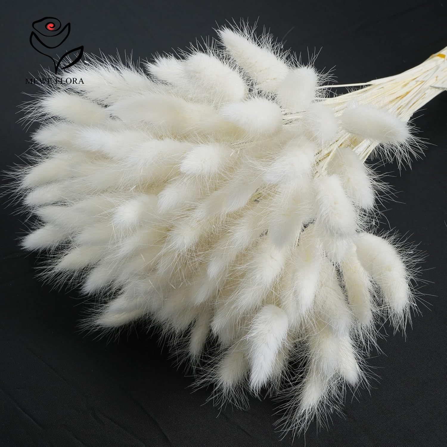 150개 화이트 내추럴 플러피 토끼 꼬리 팜파스 그래스 - Pampas Grass Decor 리뷰 및 가격