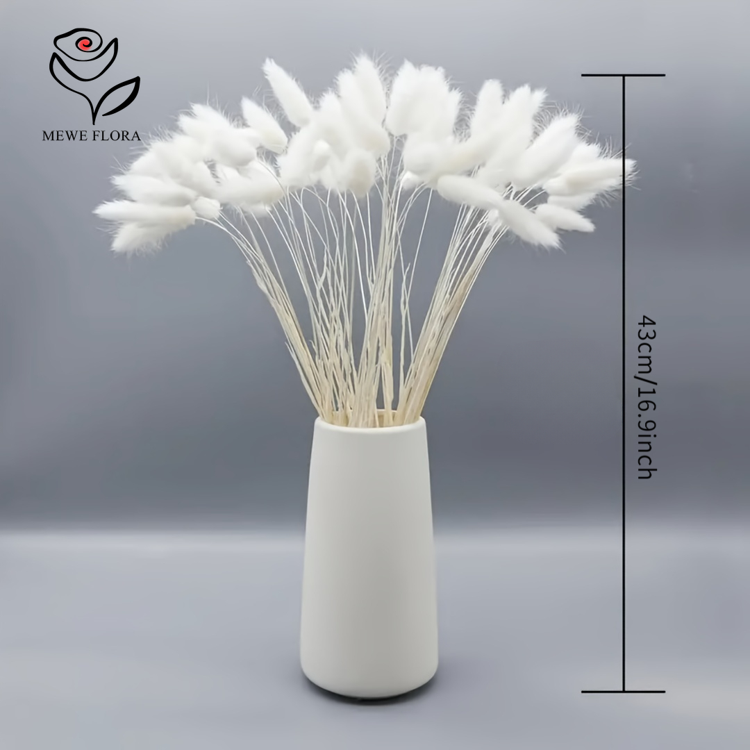 150개 화이트 내추럴 플러피 토끼 꼬리 팜파스 그래스 - Pampas Grass Decor 리뷰 및 가격